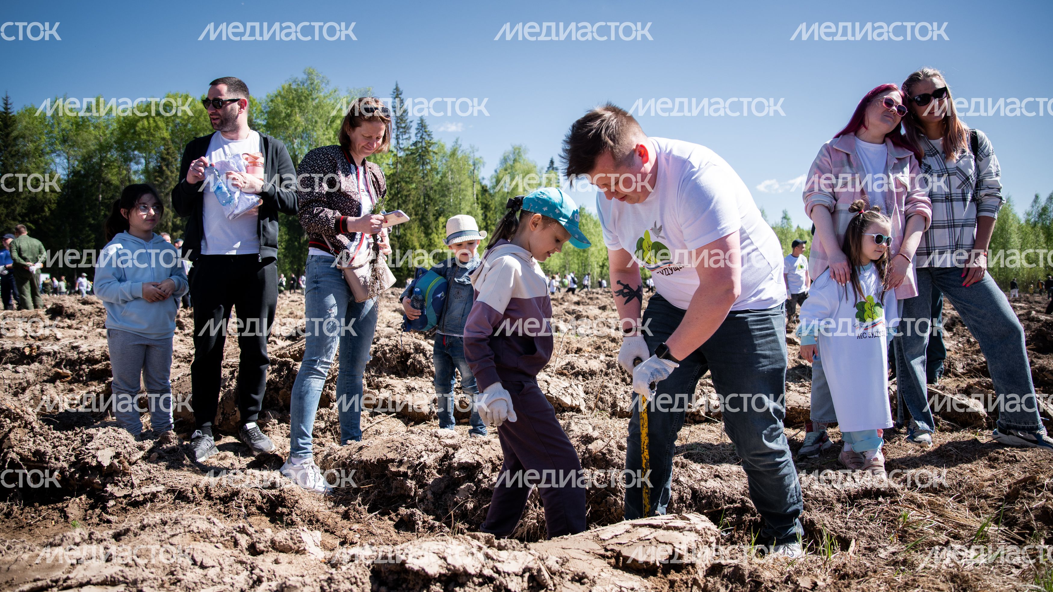 Настроение "Лес Будущего"-2024