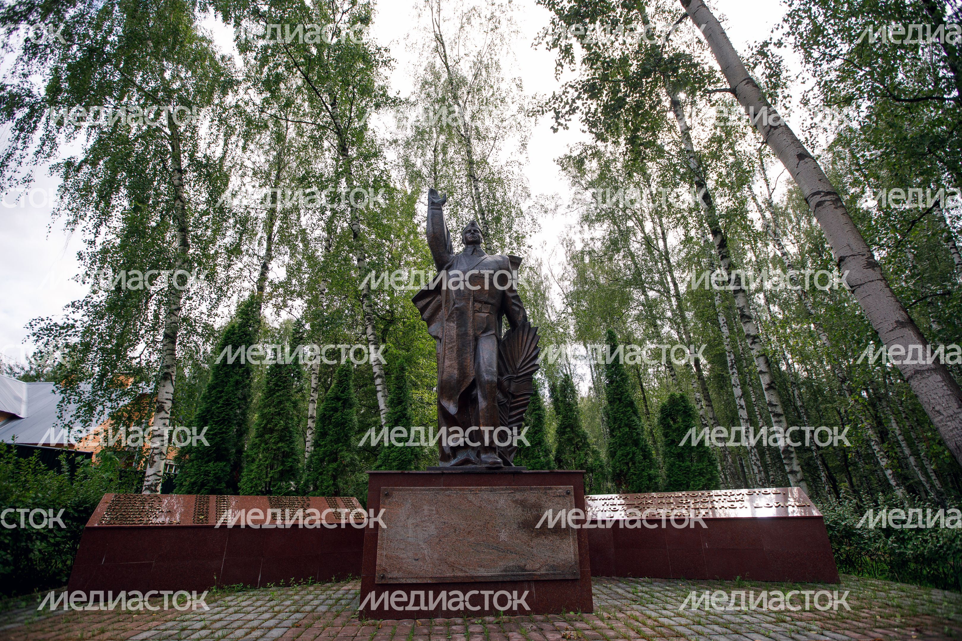 Домодедово. Госфильмофонд России Домодедово. Госфильмофонд России