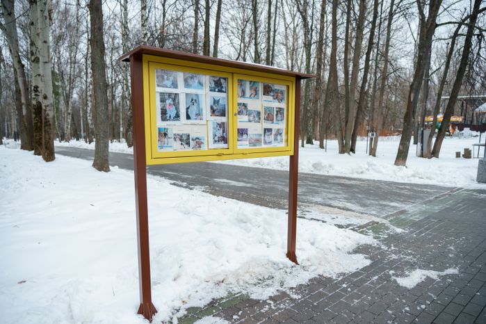Кашира. Городской парк. Зима