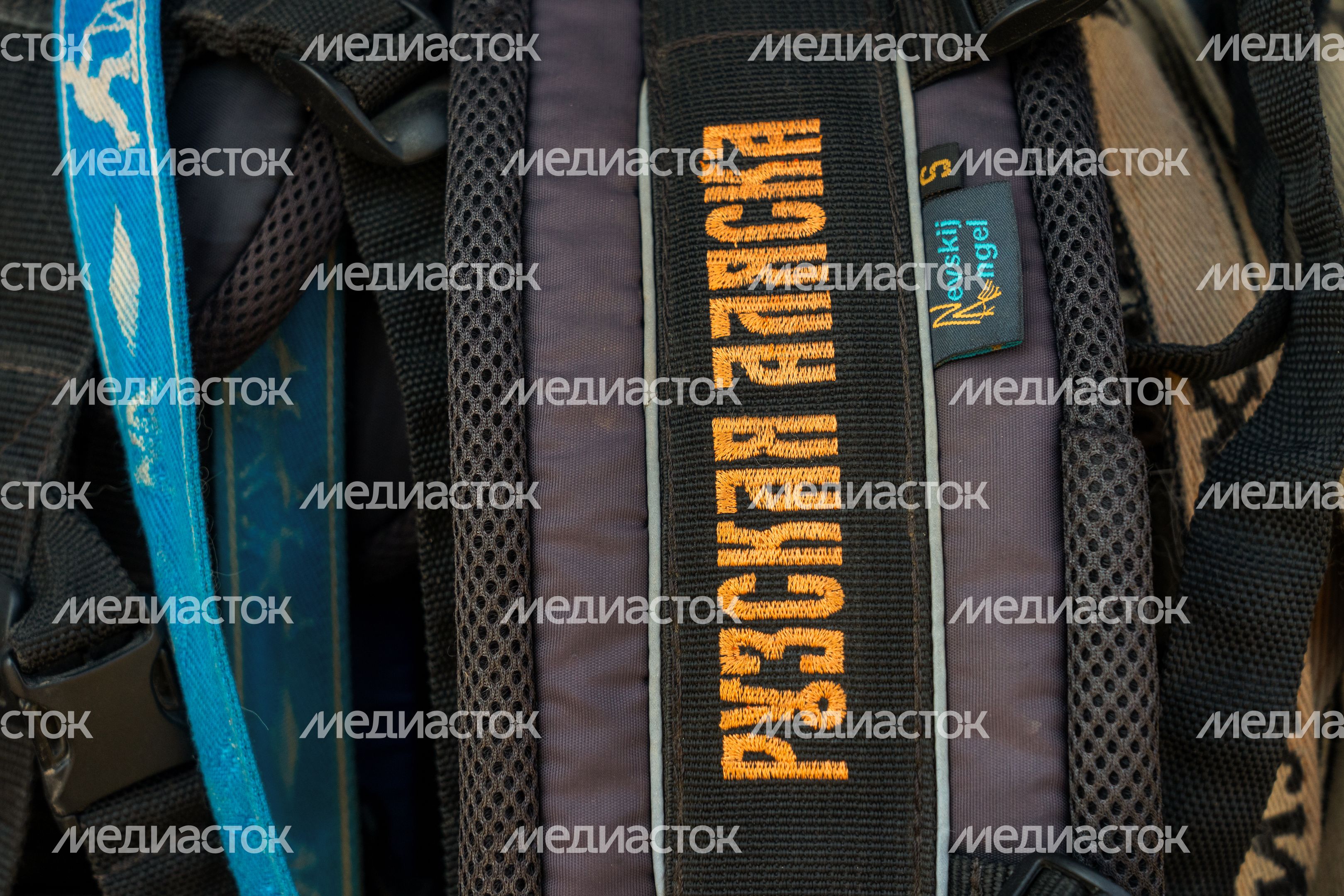 Хаски-деревня "Рузская Аляска". Лето Хаски-деревня "Рузская Аляска". Лето
