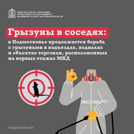 Крысы в МКД квадрат (1)