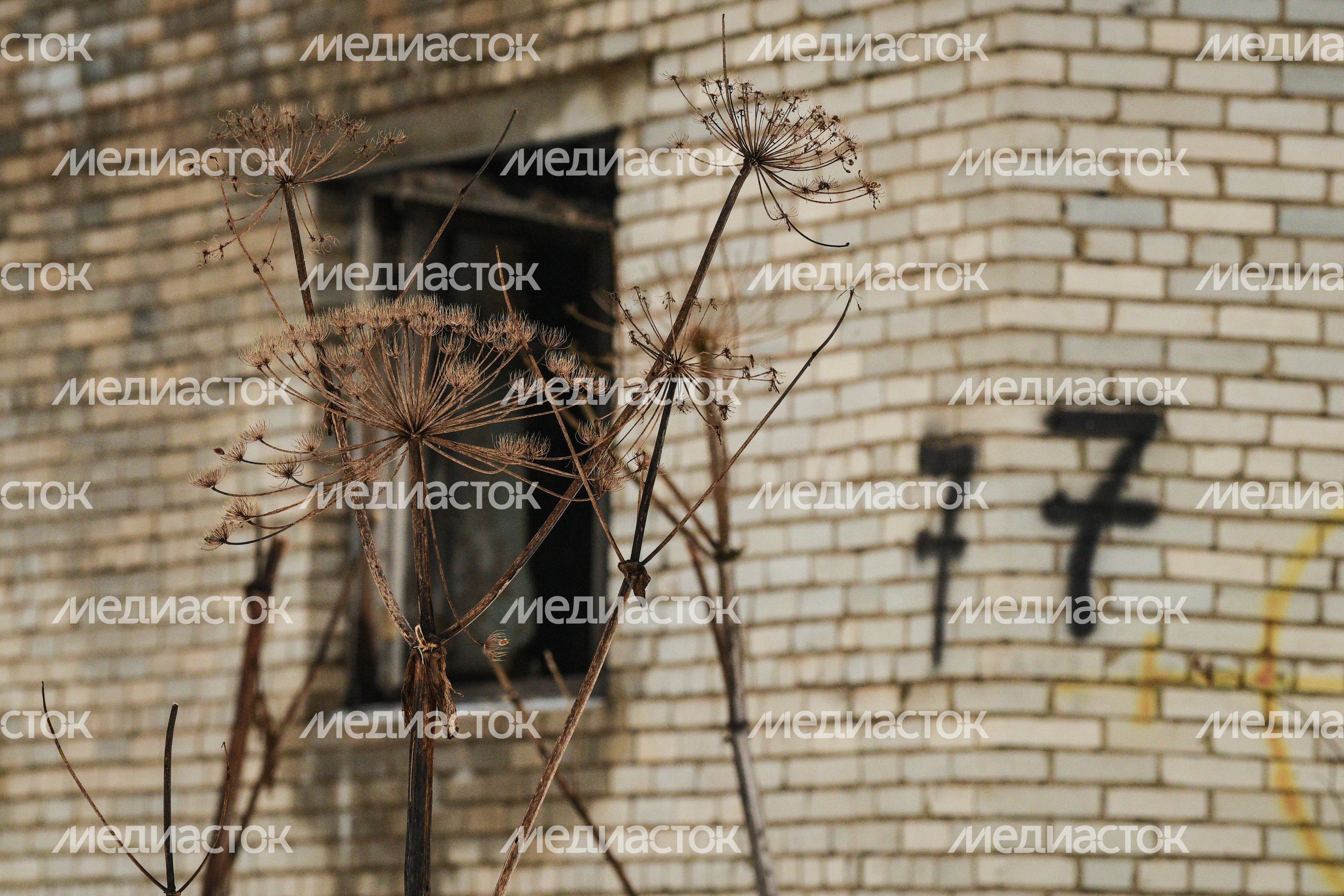 Заброшенный город Адуляр