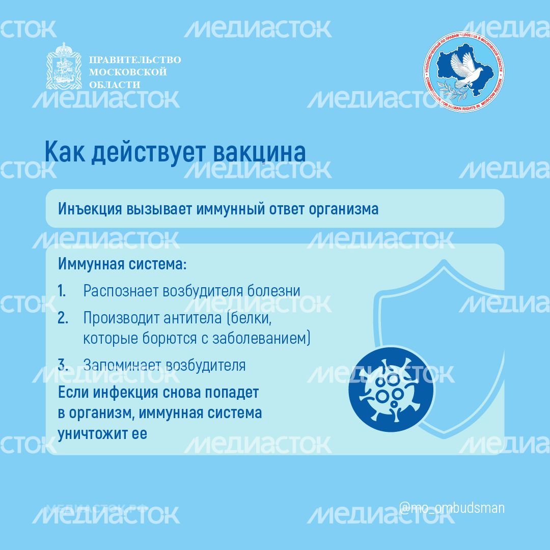 Вакцинация квадрат 04 Вакцинация квадрат 04