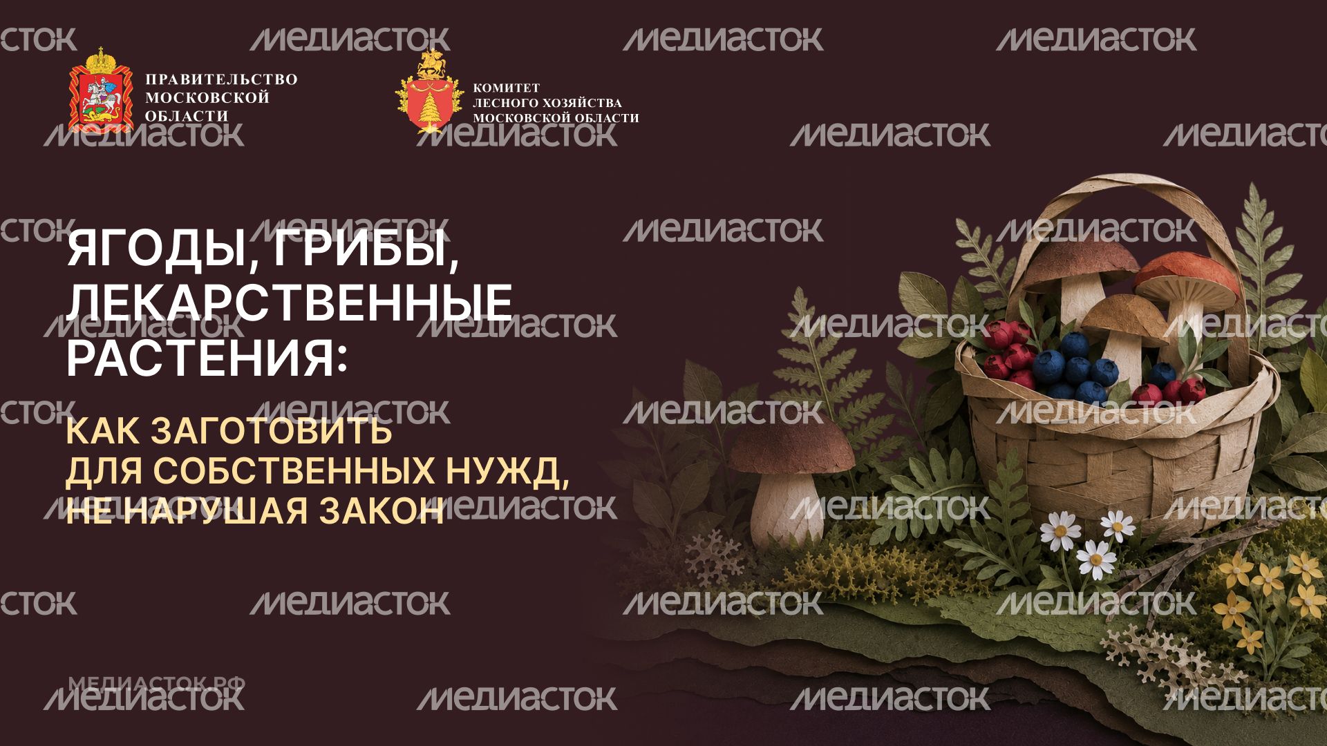 Ягоды, грибы, лекарственные растения горизонталь 01