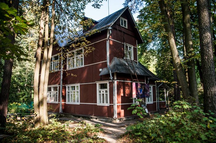 Виды Переделкино