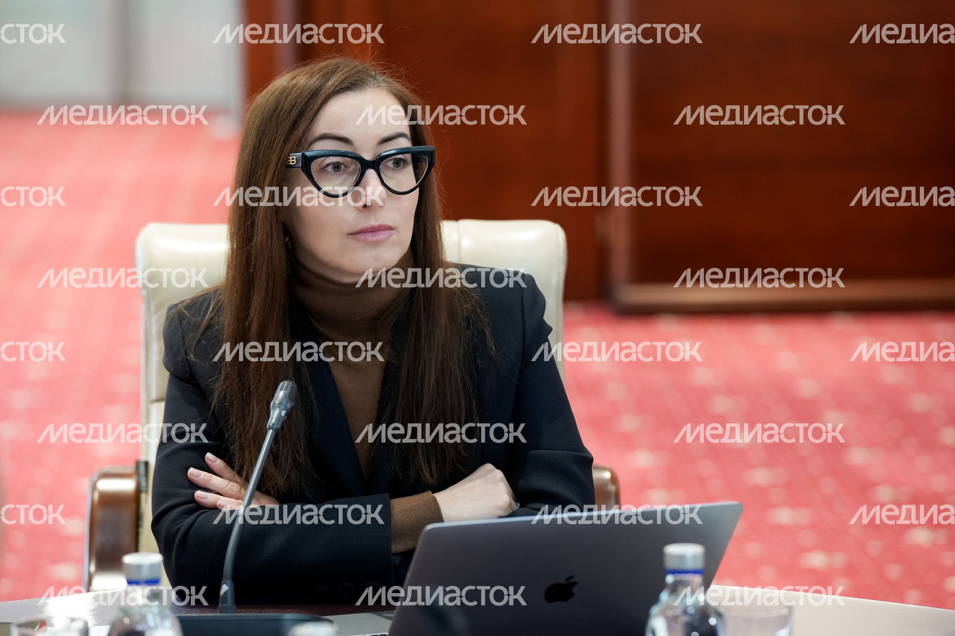 Екатерина Швелидзе на заседании Межпарламентской комиссии по сотрудничеству России и Белоруссии