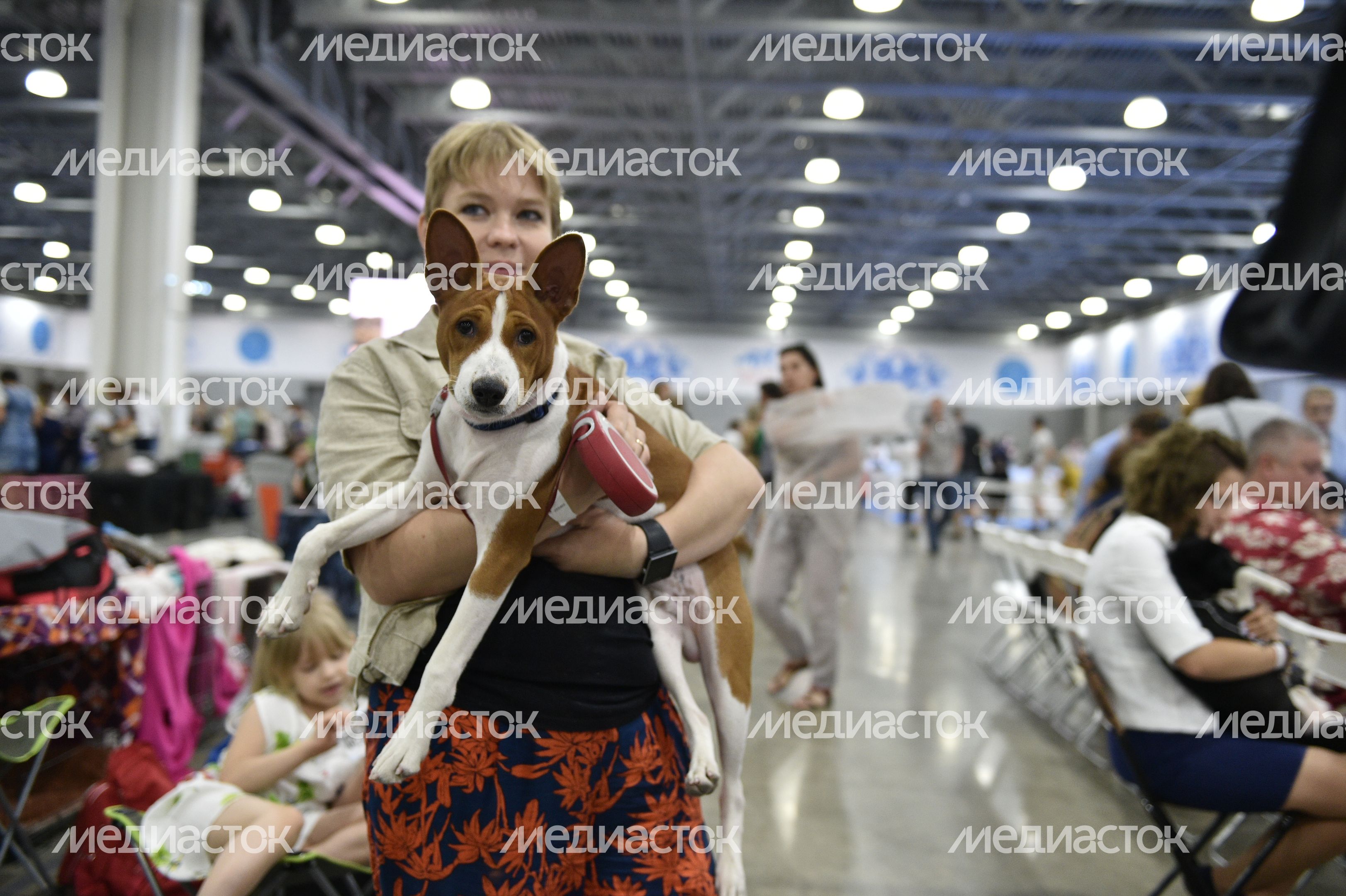 Всемирная выставка собак World Dog Show 2016 в МВЦ «Крокус Экспо» Всемирная выставка собак World Dog Show 2016 в МВЦ «Крокус Экспо»