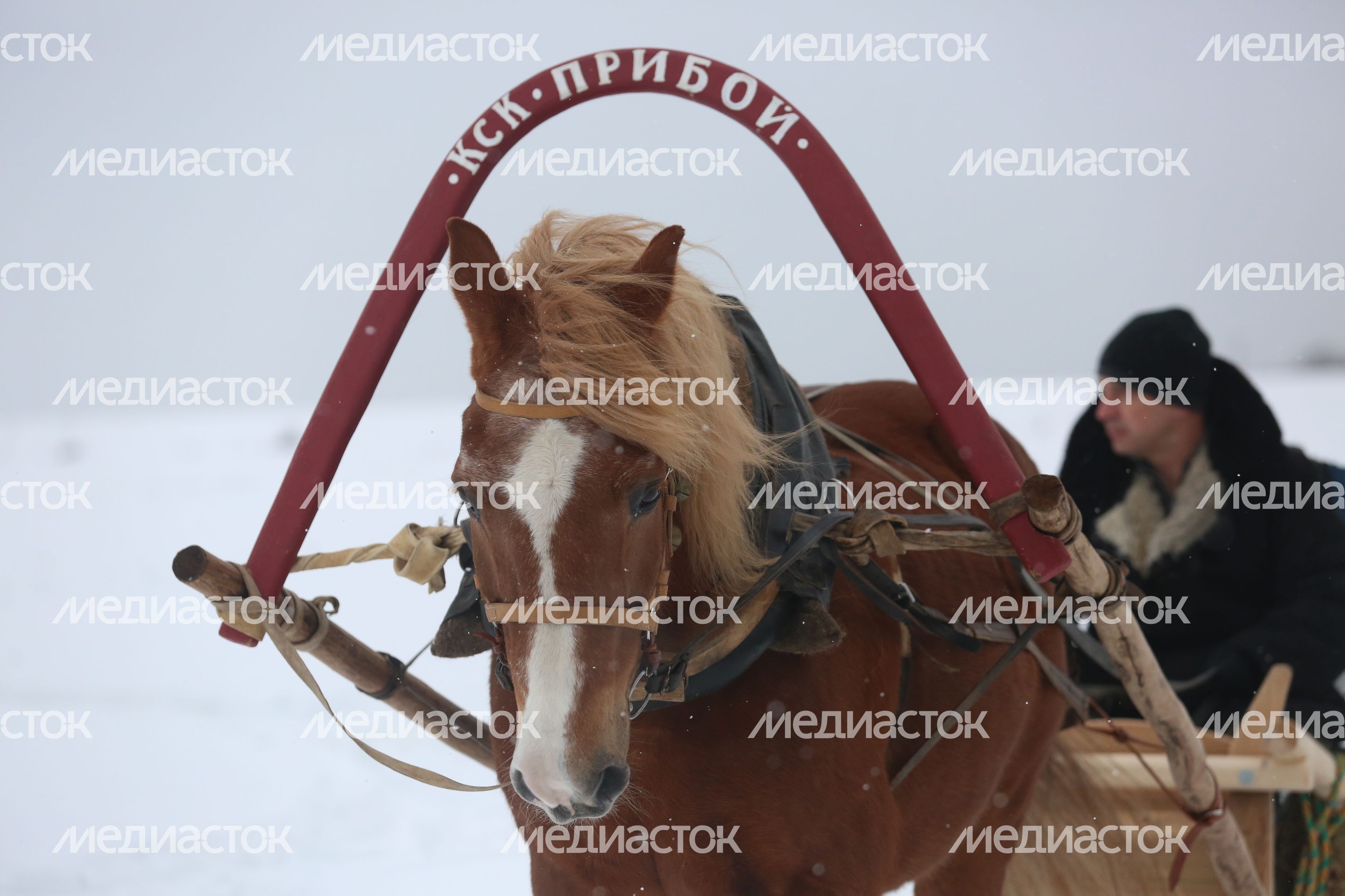 Партизанская деревня в парке «Патриот»