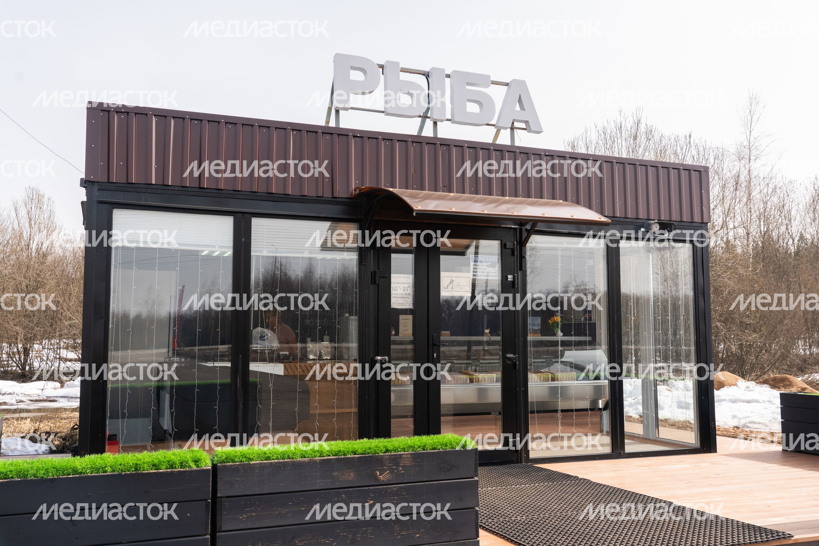 Мансуровское рыбоводное хозяйство под Истрой Мансуровское рыбоводное хозяйство под Истрой