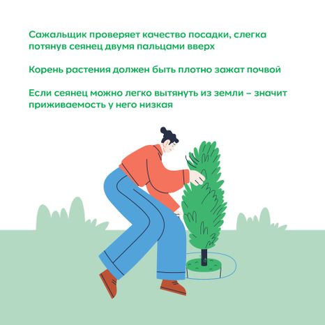 Квадрат_ меч Колесова_06-100.jpg