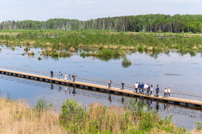 Орнитологическая тропа появилась в нацпарке «Лосиный остров»