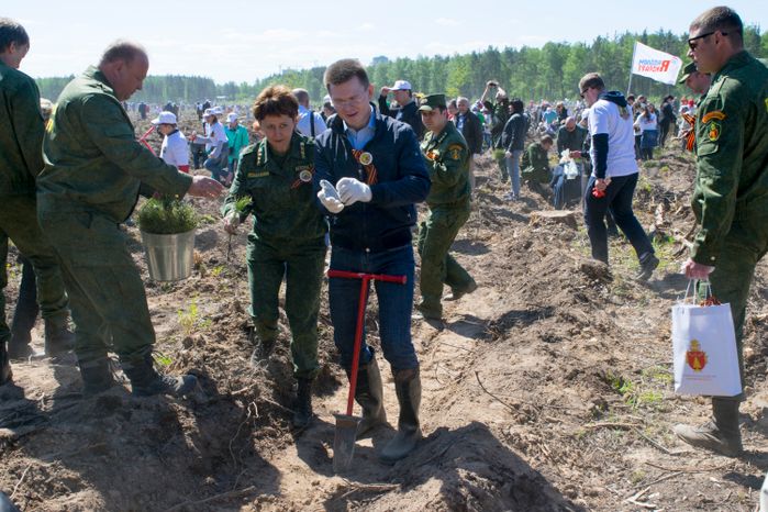 Акция «Лес Победы» в Раменском районе