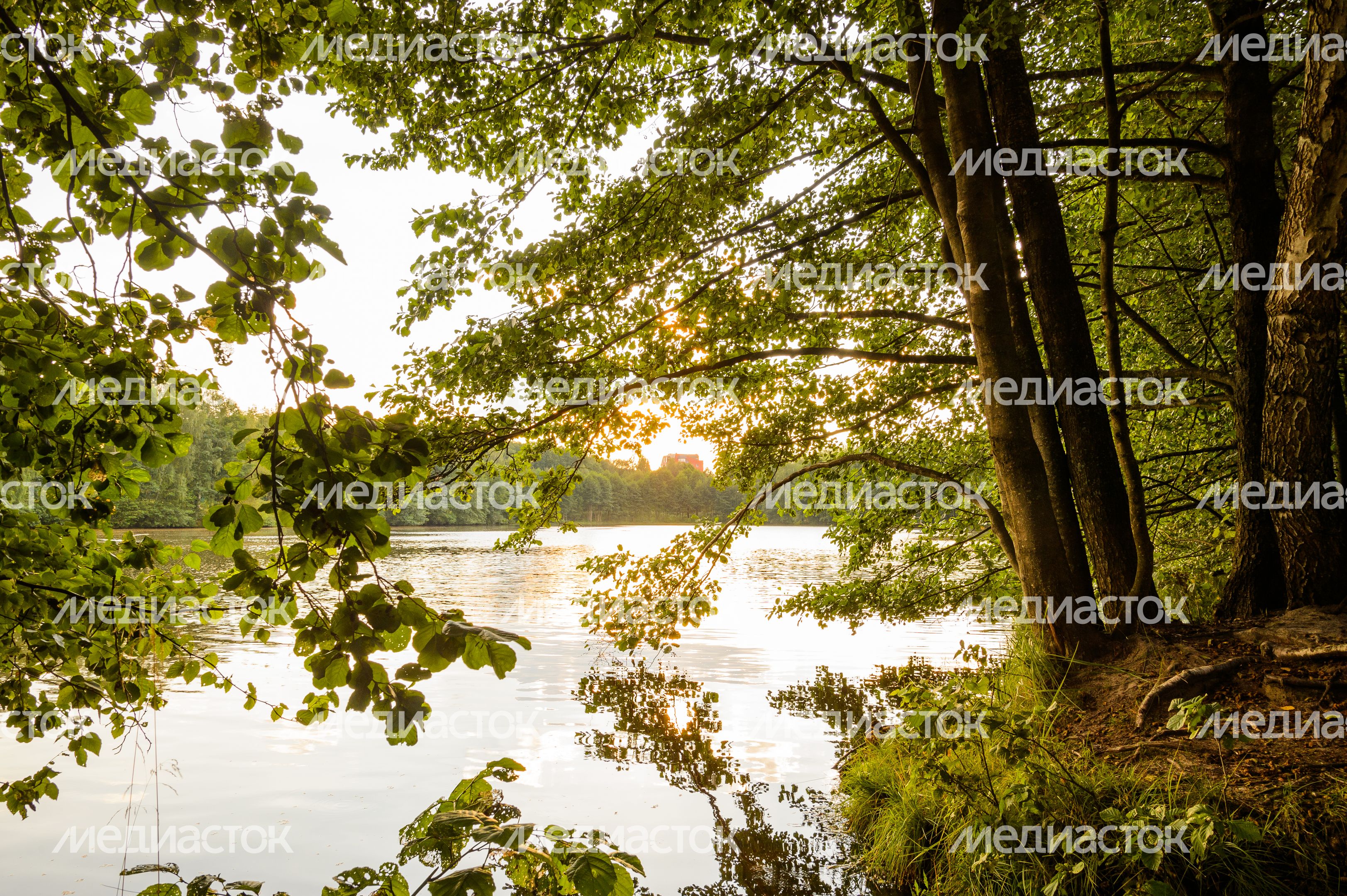 Горокруг Черноголовка. Летние виды реки Черноголовки