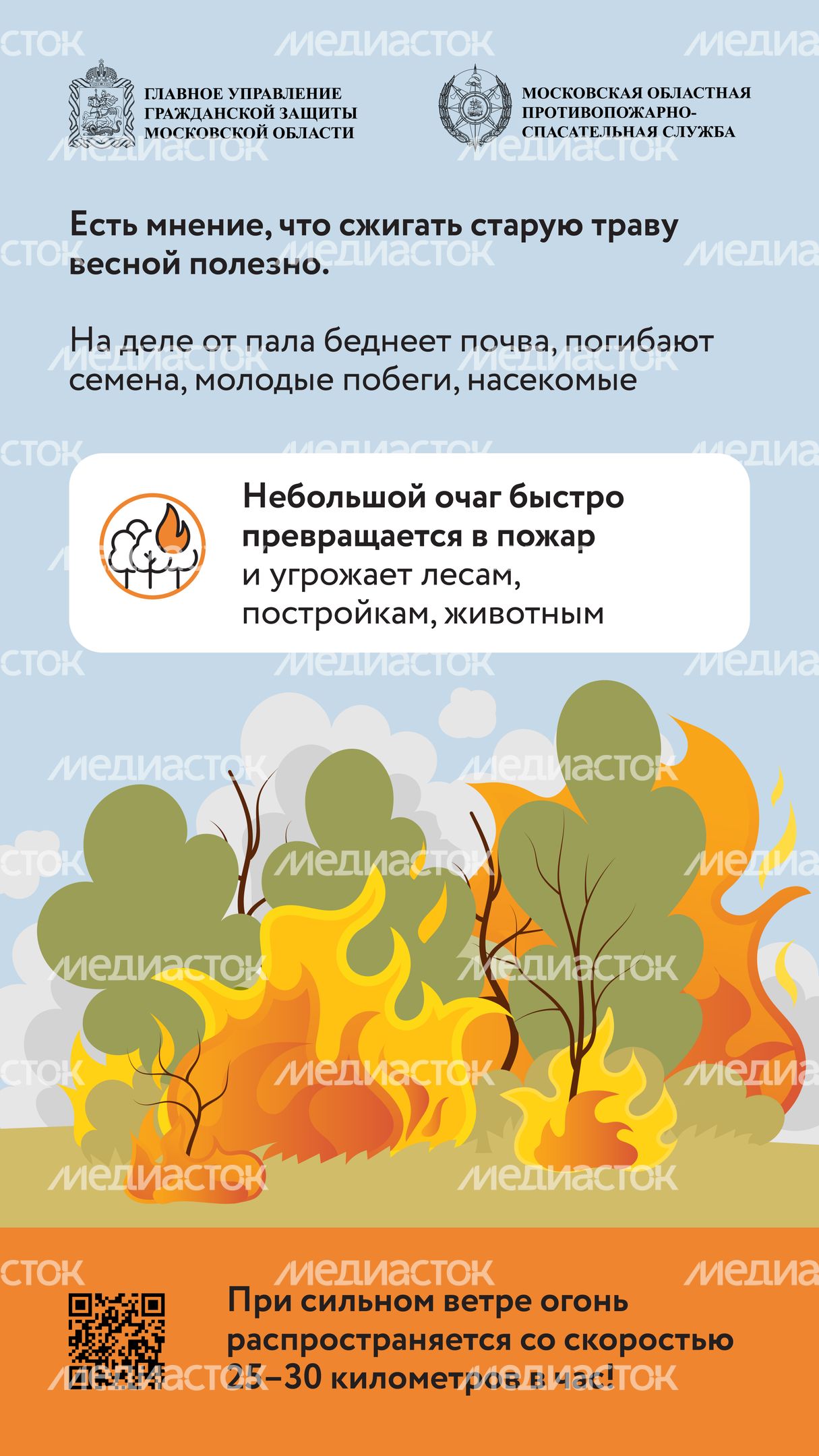 Пал травы-2024_Вертикаль-02
