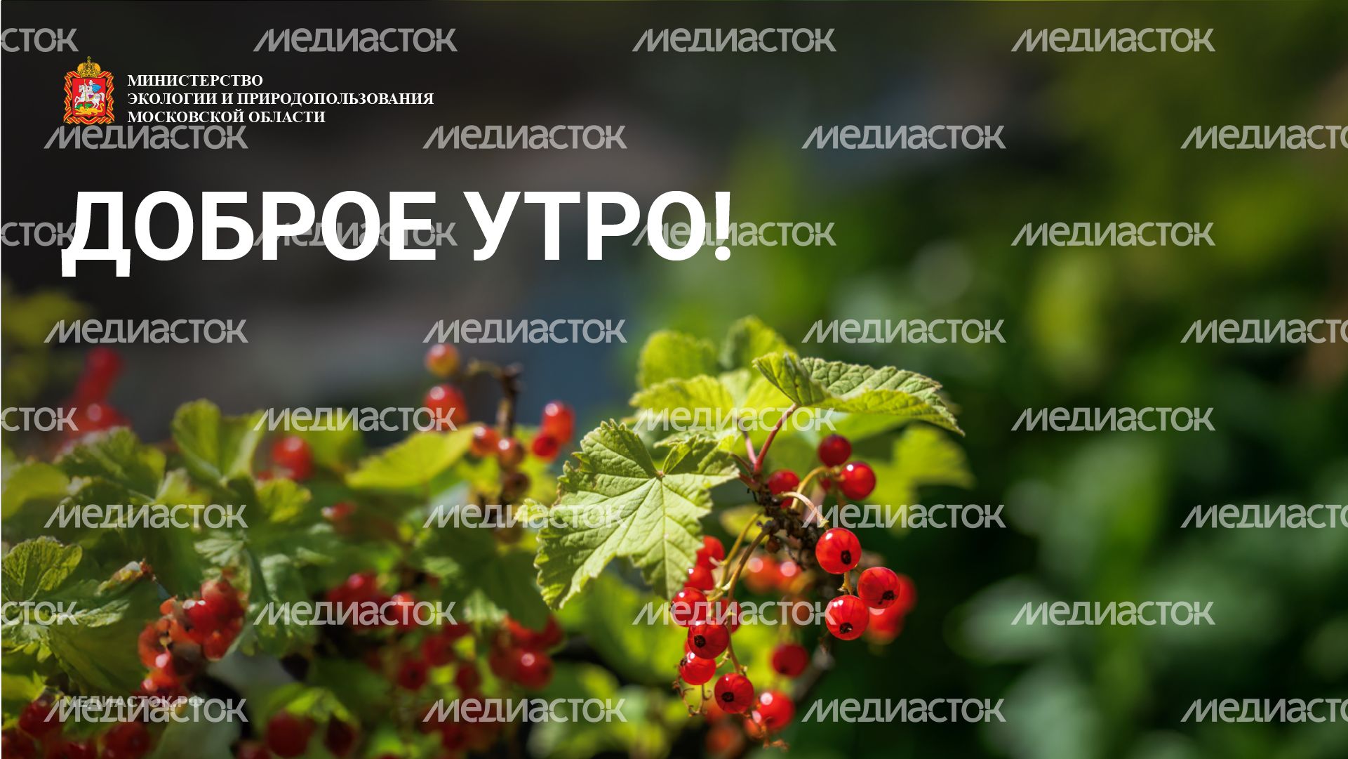 Доброе утро горизонталь 04