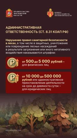 Санитарная безопасность в лесах вертикаль 04