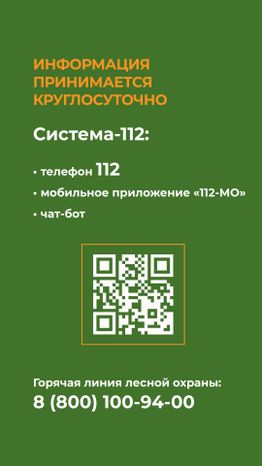 комлесхоз_костер_верт_8.jpg