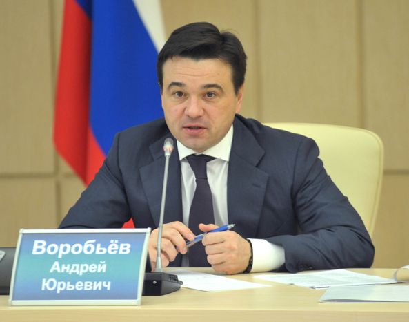 Участие Андрея Воробьева в Общественной палате МО