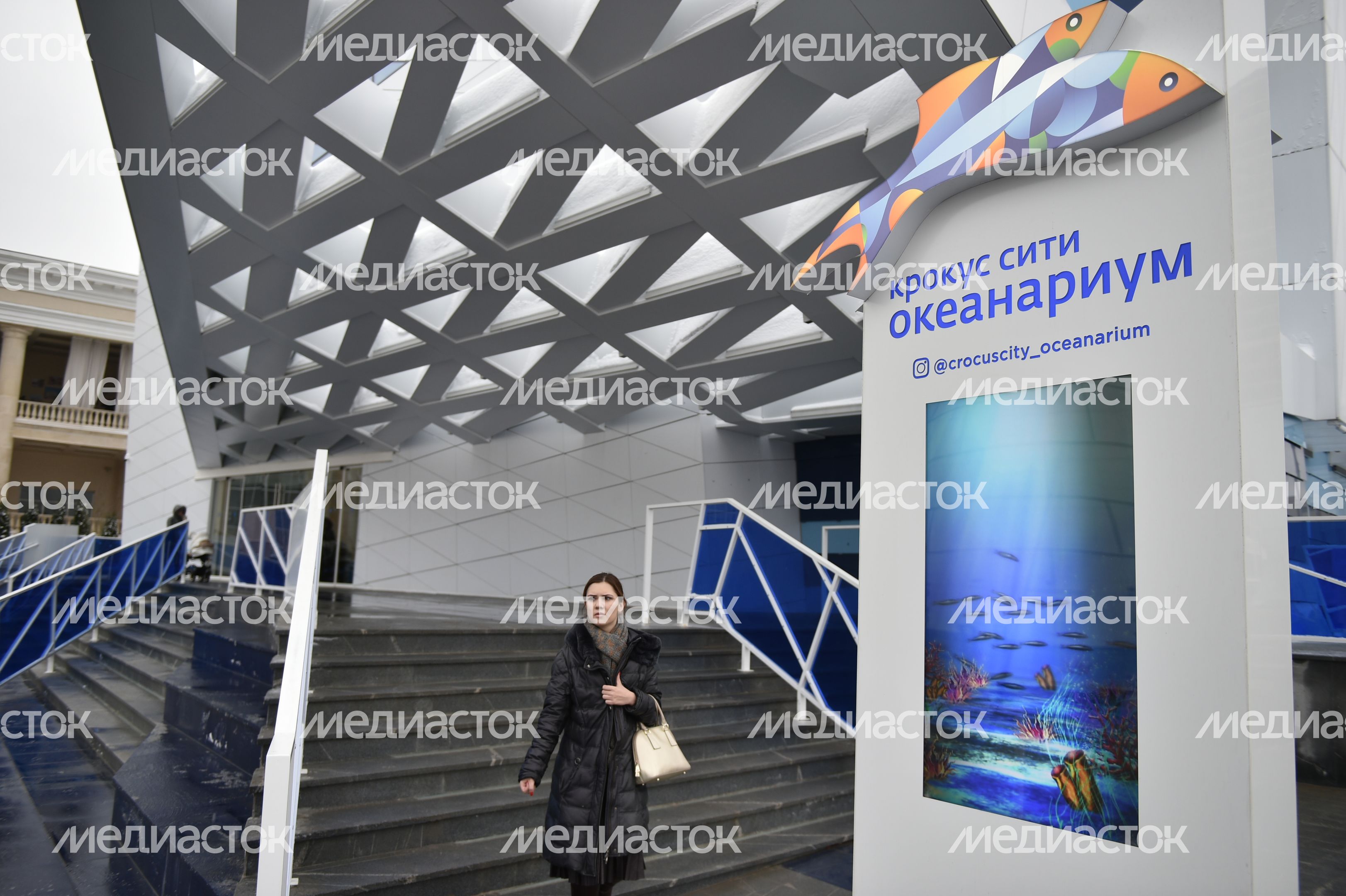 Открытие океанариума в Красногорске Открытие океанариума в Красногорске